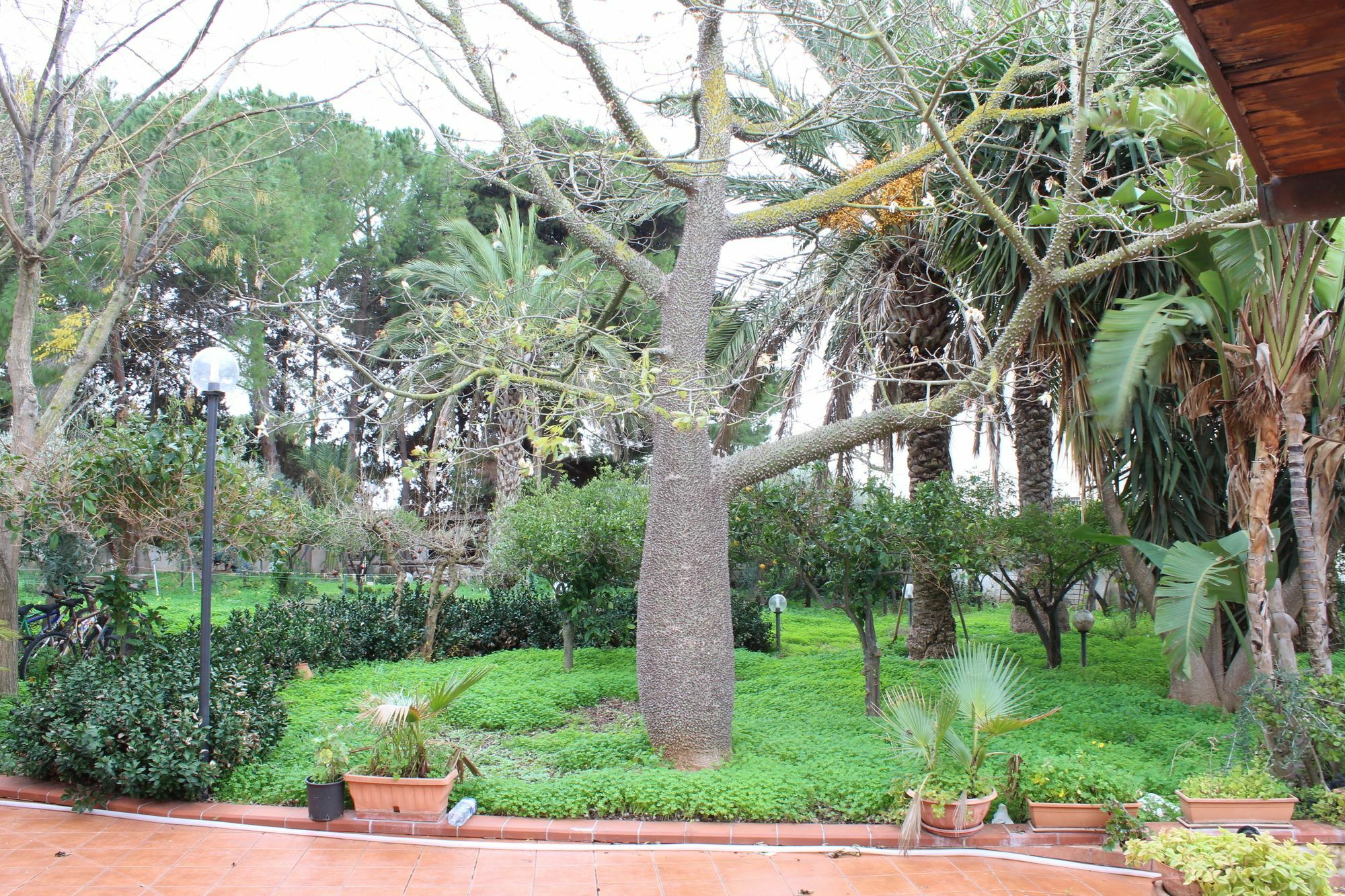 מזרה דל ואלו Villa Delle Nifee מראה חיצוני תמונה